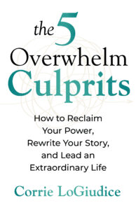 9780757326103-5OverwhelmCulprits